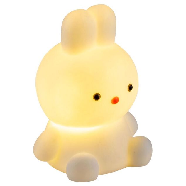 Veilleuse LED animal mignon