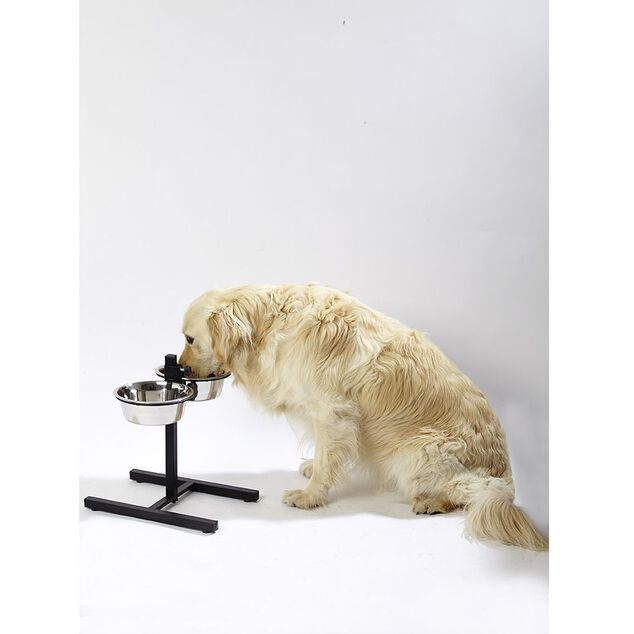 Gamelle double sur pied hauteur ajustable inox