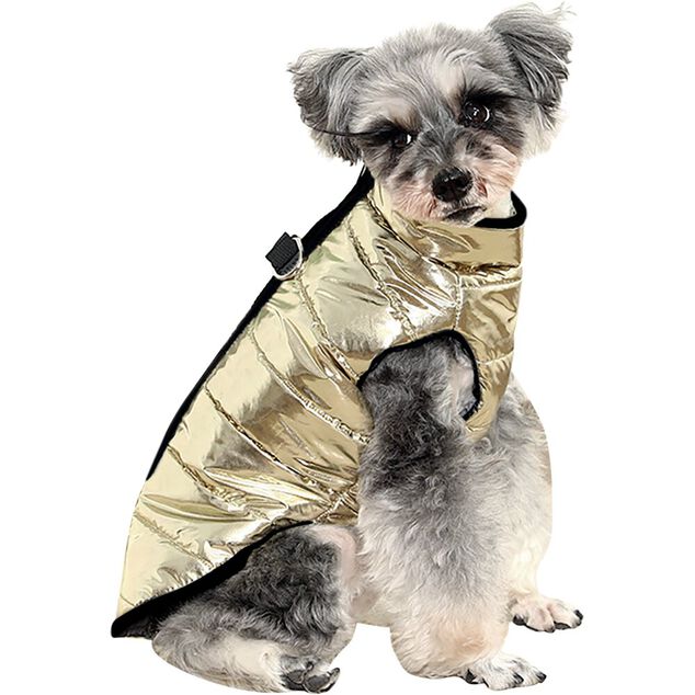 Manteau pour chien doudoune dor&eacute;e Taille S