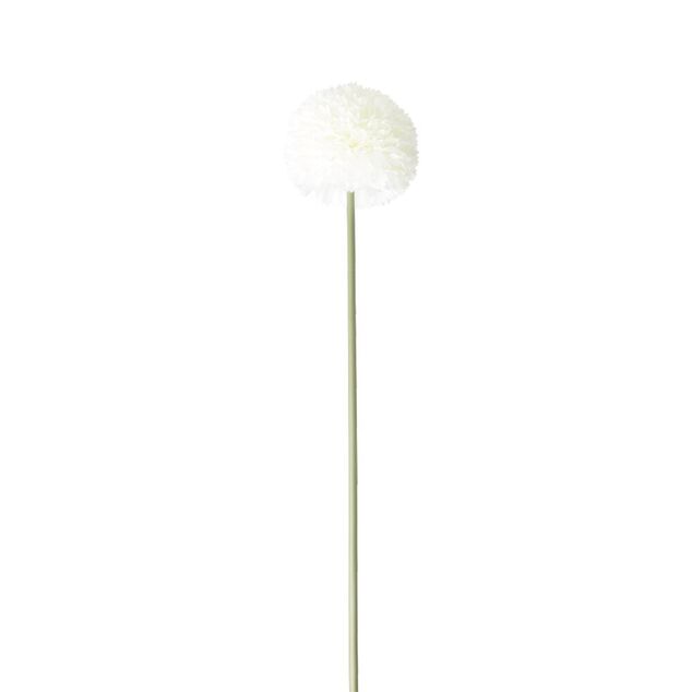 Fleur artificielle 1 tige allium blanc H72cm