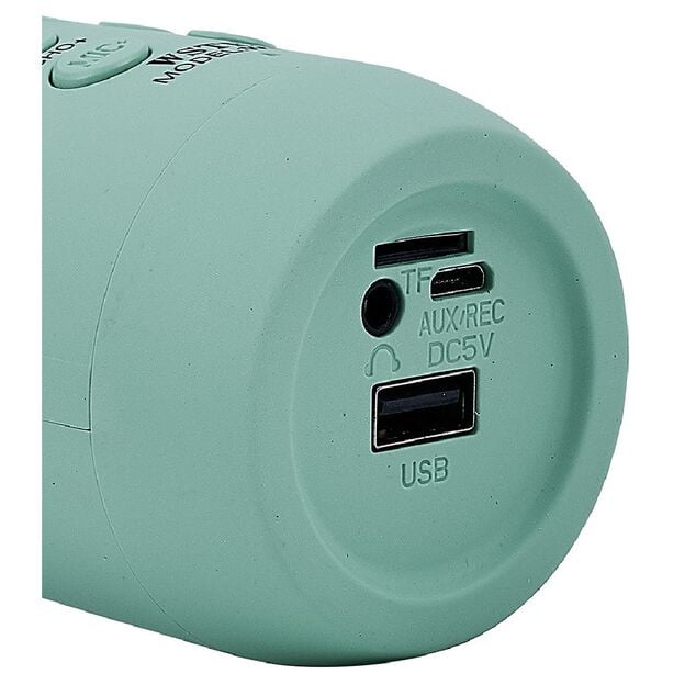 Micro karaoké et veilleuse bluetooth XL forme champignon