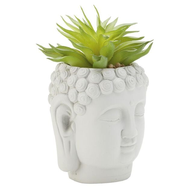 T&ecirc;te Bouddha avec plante