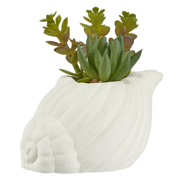 Plante grasse artificielle pot ciment forme coquillage blanc H15,5cm (2 mod&egrave;les)