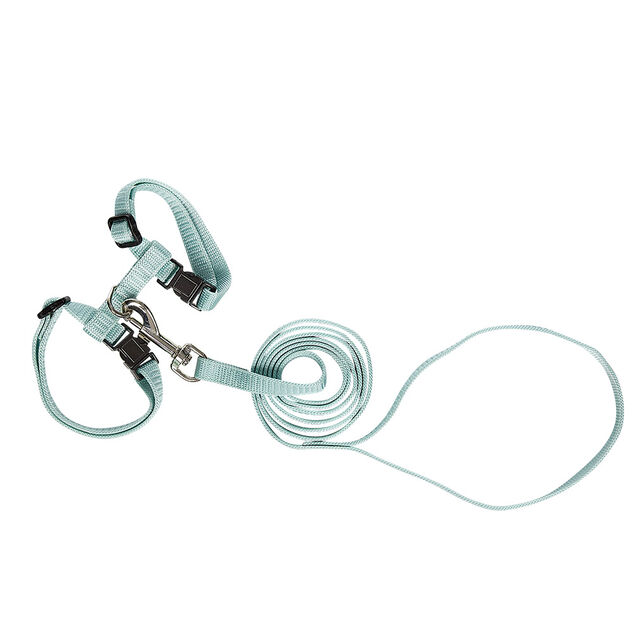 Harnais avec laisse pour chat