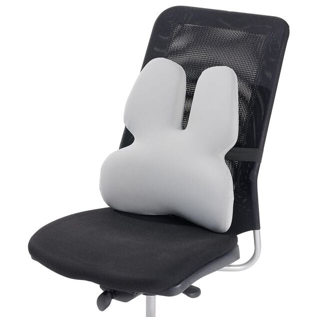 Coussin lombaire à mémoire de forme 42x12x45cm