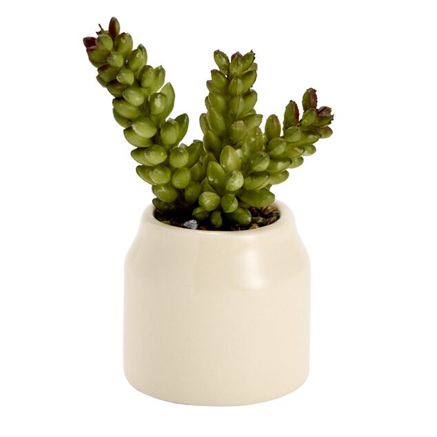 Plante grasse artificielle dans pot dolomite uni &Oslash;6xH8cm (4 mod&egrave;les)