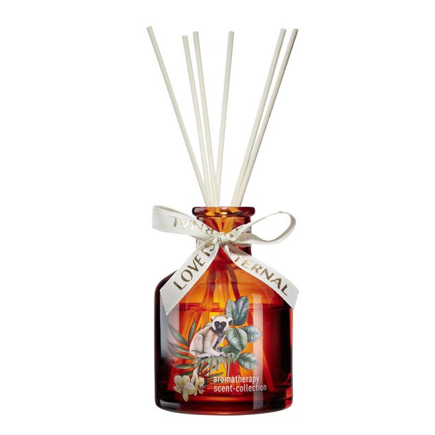 Diffuseur de senteur &agrave; b&acirc;tonnets bouteille verre color&eacute;e &Oslash;7xH10cm (3 mod&egrave;les)