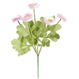 Piquet de 5 Chrysanth&egrave;mes roses ouvertes en poly&eacute;thyl&egrave;ne