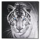 Cadre d&eacute;co en bois photo tigre blanc 30x30cm