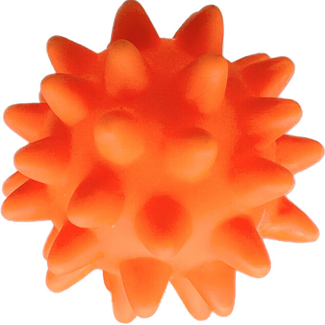 Jouet pour chien Balle multicolore &Oslash;6 cm