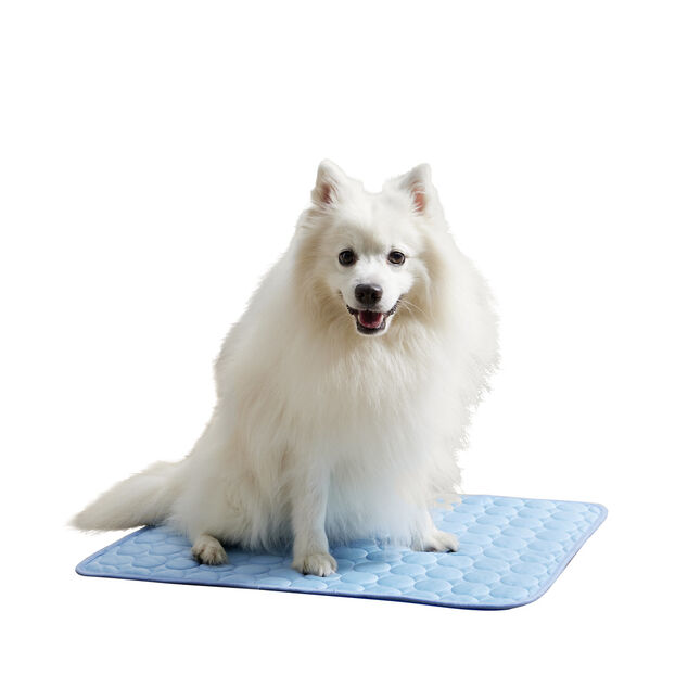 Tapis rafraîchissant pour chien 45x60cm