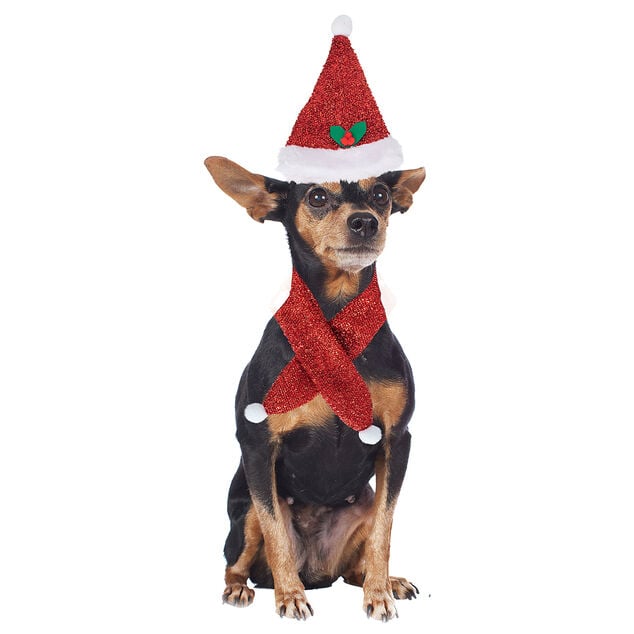 D&eacute;guisement No&euml;l bonnet et &eacute;charpe pour chien