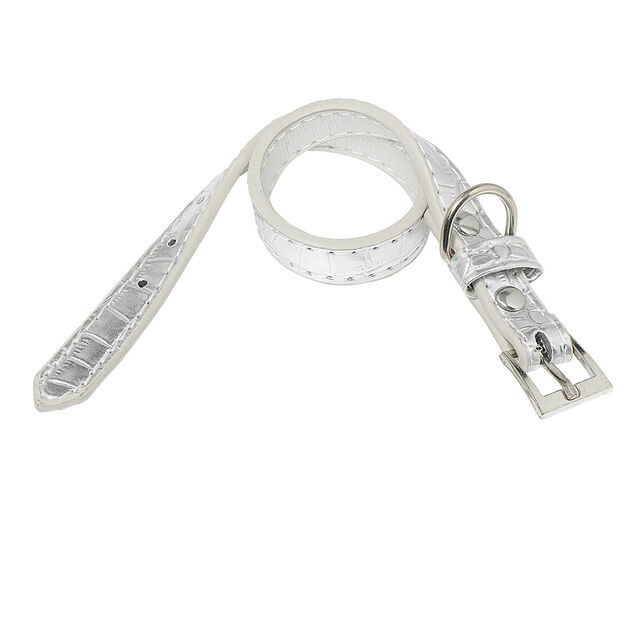 Collier pour chien plastique r&eacute;glable gris brillant taille S