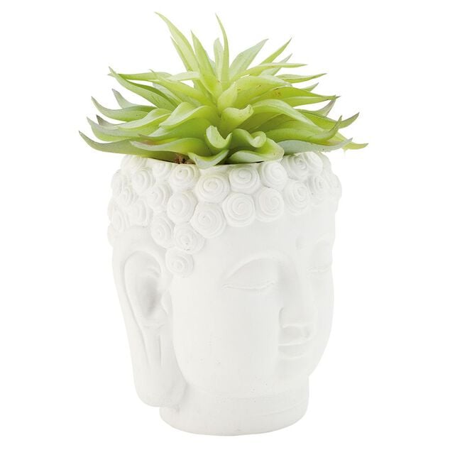 T&ecirc;te Bouddha avec plante