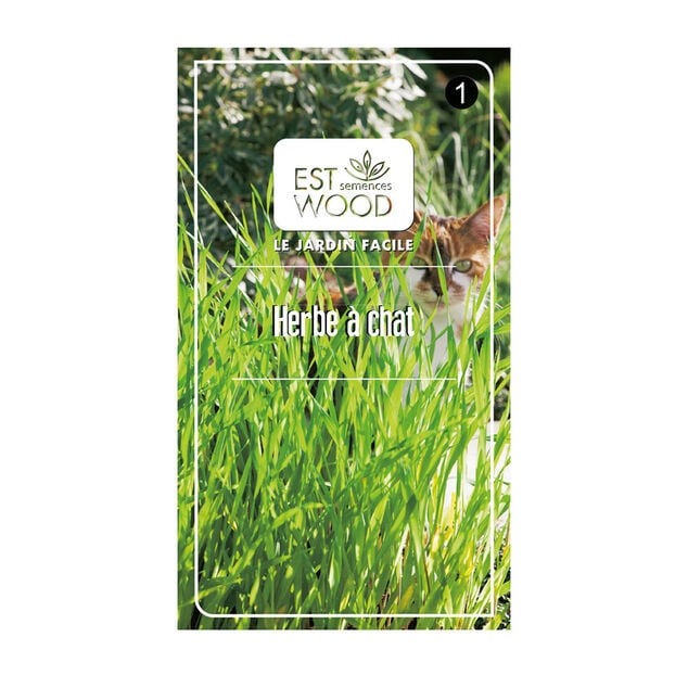 Semence herbe chat