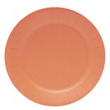 Lot de 10 assiettes en carton orange &Oslash;23cm