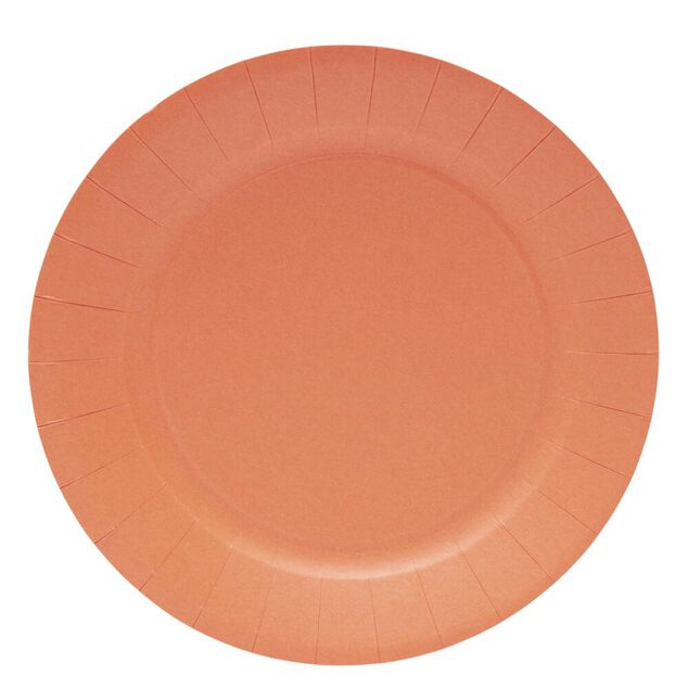 Lot de 10 assiettes en carton orange &Oslash;23cm
