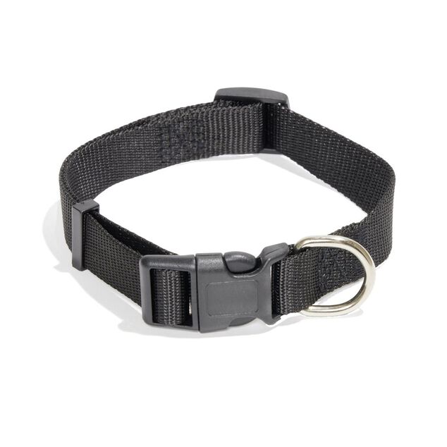 Collier pour chien - Taille M