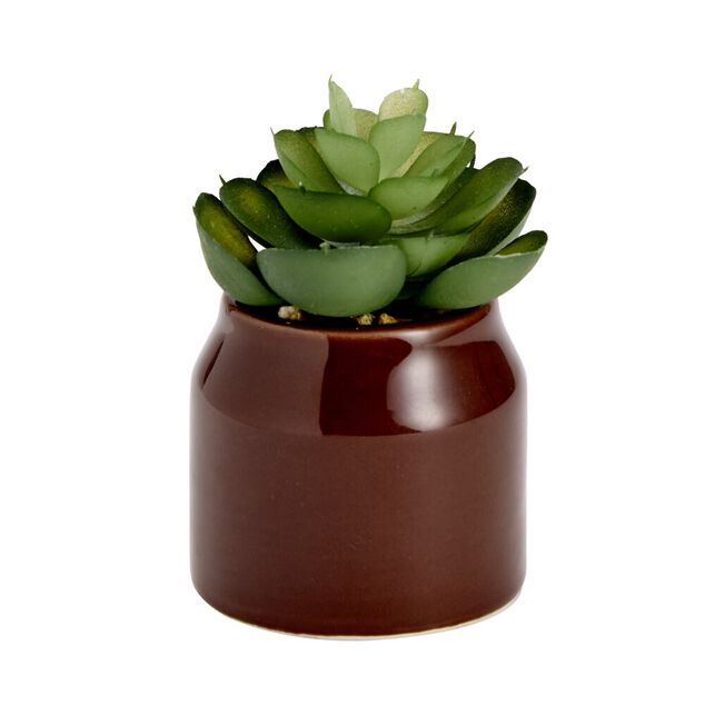 Plante grasse artificielle dans pot dolomite uni &Oslash;6xH8cm (4 mod&egrave;les)