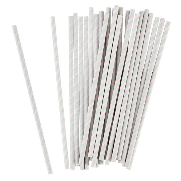 Paille rose et vert x 24