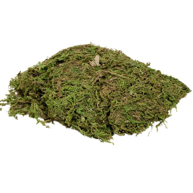 Mousse pour cr&egrave;che de No&euml;l vert 50g