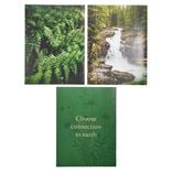 Affiche papier x3 thème nature noir et vert 30x40cm