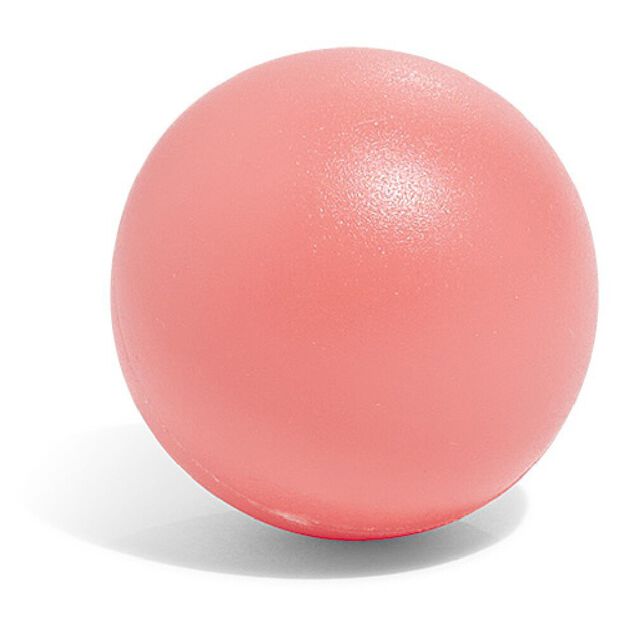 Raquettes de plage x2 + balle x1