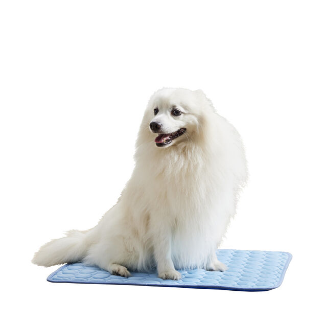 Tapis rafraîchissant pour chien 45x60cm