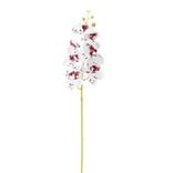 Fleur artificielle tige orchid&eacute;e blanche et rouge H92cm