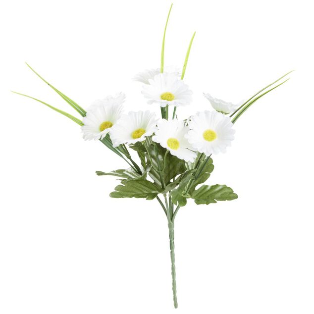 Bouquet de marguerites