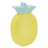 Éponge cosmétique tropicale