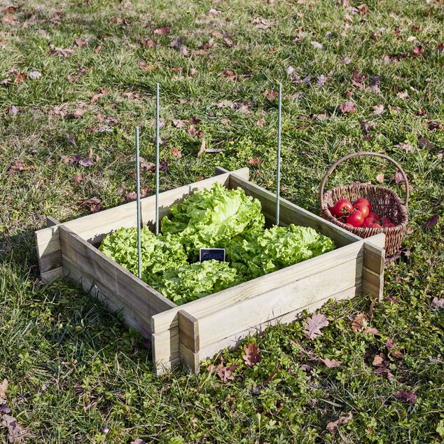 Carr&eacute; potager en bois naturel 80x80xH18cm