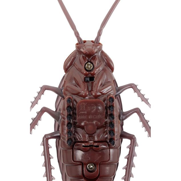 Insecte anim&eacute; farce et attrape L10cm (3 mod&egrave;les)