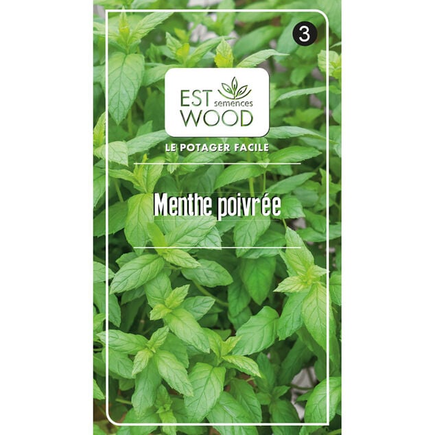 Semence Menthe poivr&eacute;e vert 1 gr