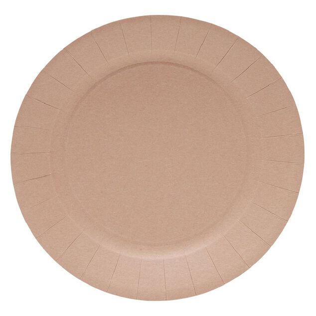 Lot de 10 assiettes en carton Ø23cm rose