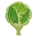 Coussin péteur choux vert