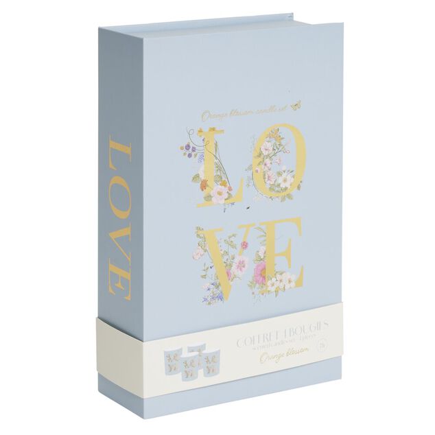 Bougie parfumée dans verre x4 coffret forme livre 16x17cm (4 modèles)