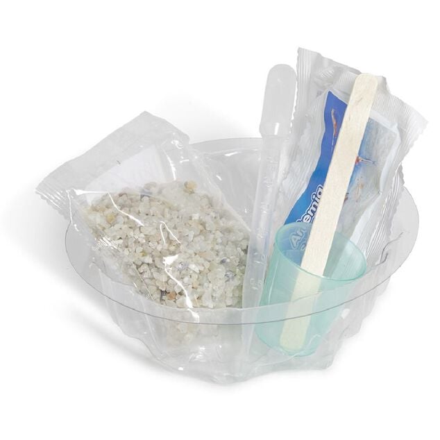 Jeu cr&eacute;atures aquatiques