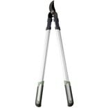 Coupe branche gris et vert L69cm