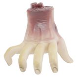 Jouet pour chien Halloween main coup&eacute;e