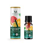Synergie d'huiles essentielles bio les orangeades agrumes Mess&eacute;gu&eacute; 10ml