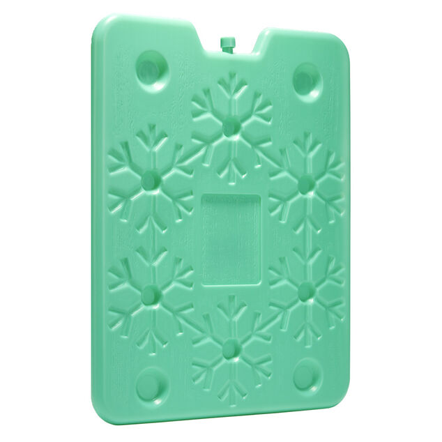 Bloc pain de glace 900ml plastique coloré 25x32cm (4 modèles)