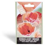Semence coquelicot rouge 0,5g