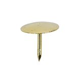 Bo&icirc;te de 100 punaises plates m&eacute;tal dor&eacute;