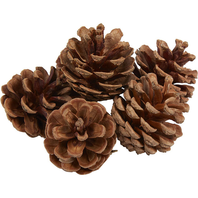 Pomme de pin naturel décoration
