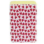 Lot de 6 &eacute;ponges de bain exfoliantes