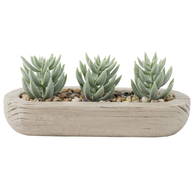 Plante grasse artificielle base ovale ciment imitation bois 18x8xH8cm (2 mod&egrave;les)
