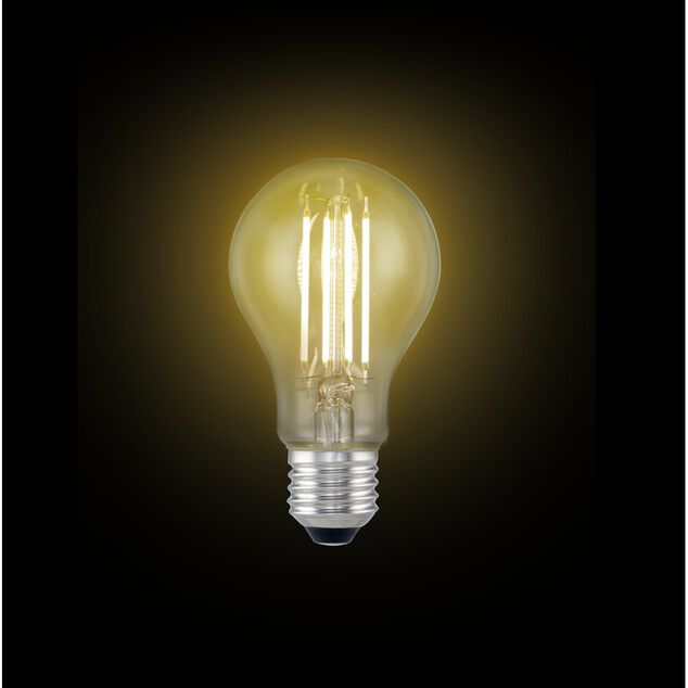 Ampoule LED E27 blanc chaud 6,5W=60W 806lms classe E