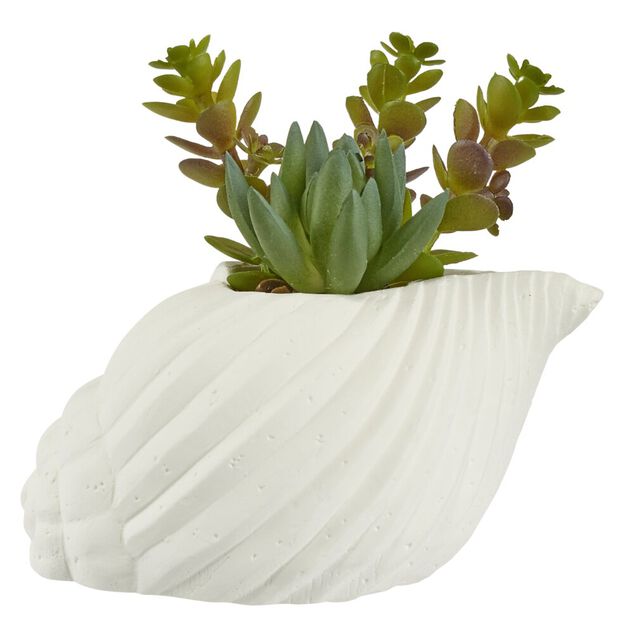 Plante grasse artificielle pot ciment forme coquillage blanc H15,5cm (2 mod&egrave;les)