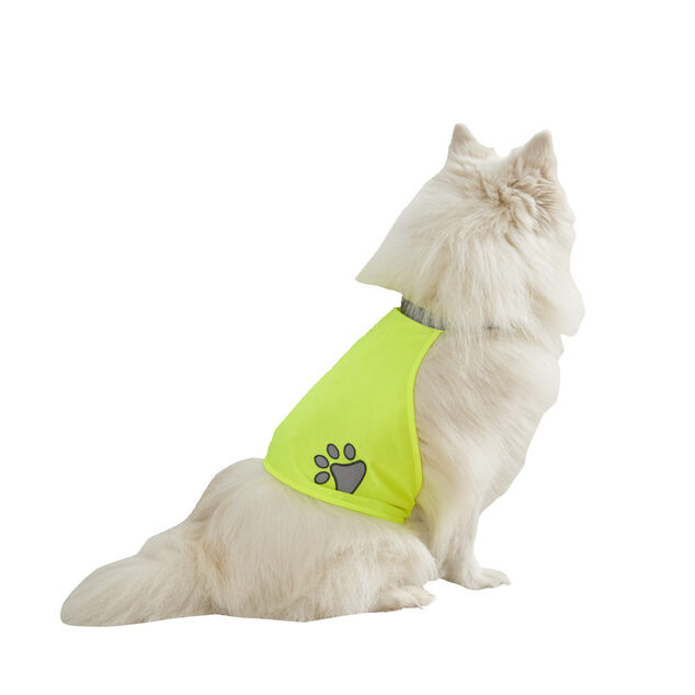 Gilet de sécurité pour chien réfléchissant Taille M